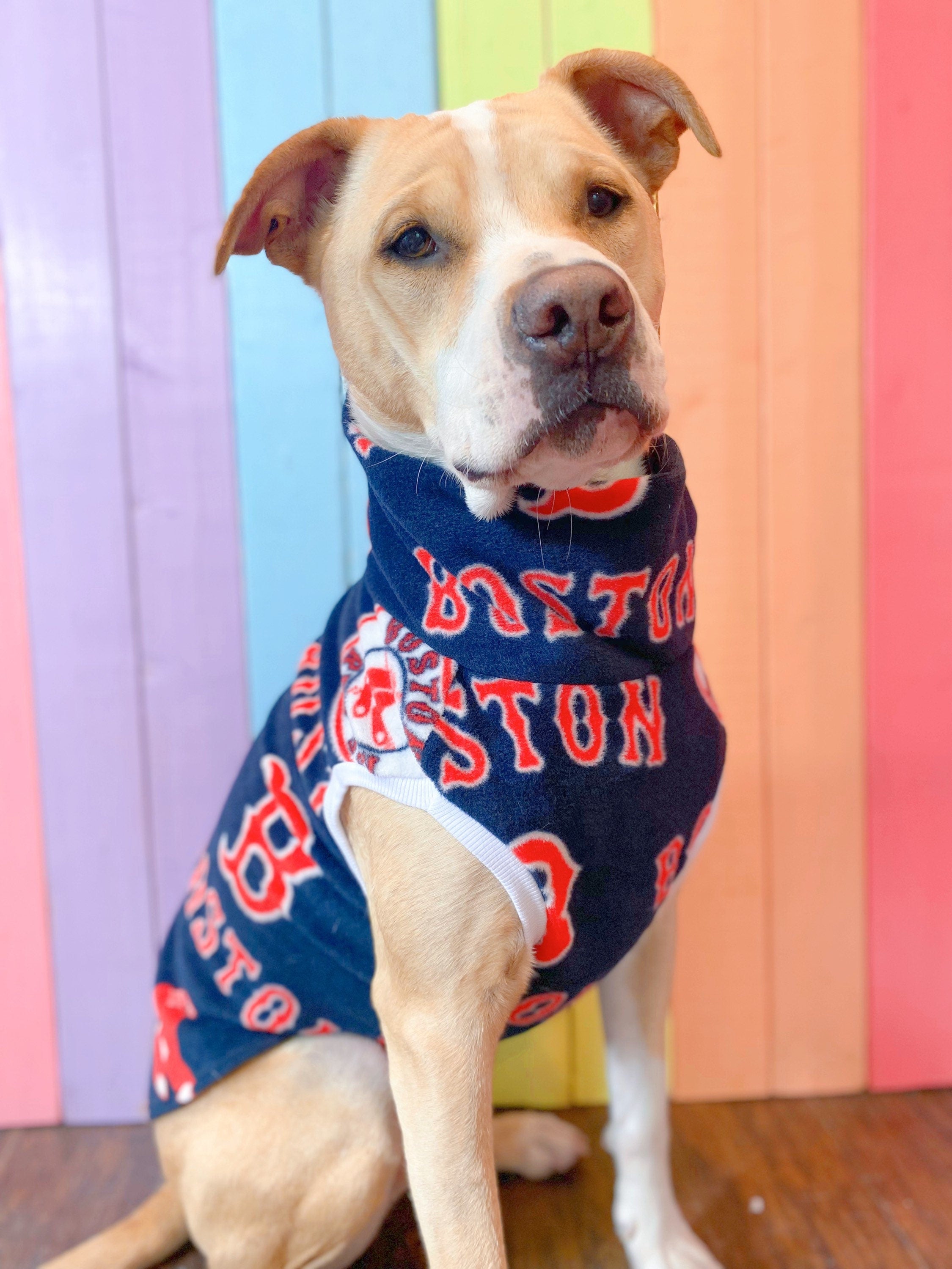 Boston Red Sox size medium sleeveless dog sweatshirt – Paws & Whiskers, LLC
