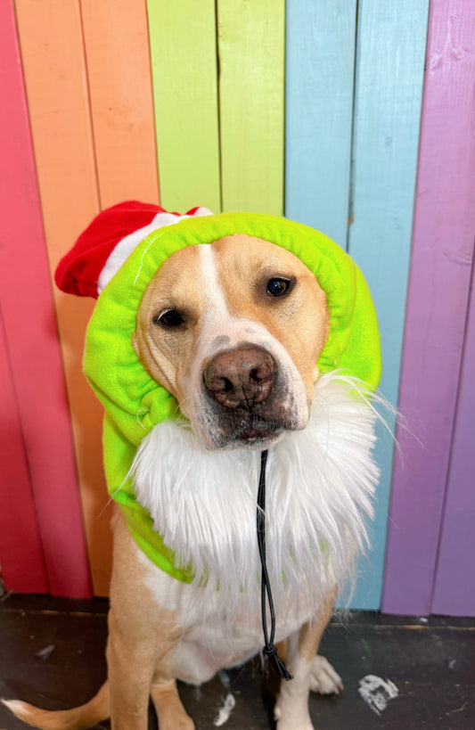 Youre a mean one adjustable dog zoo snood