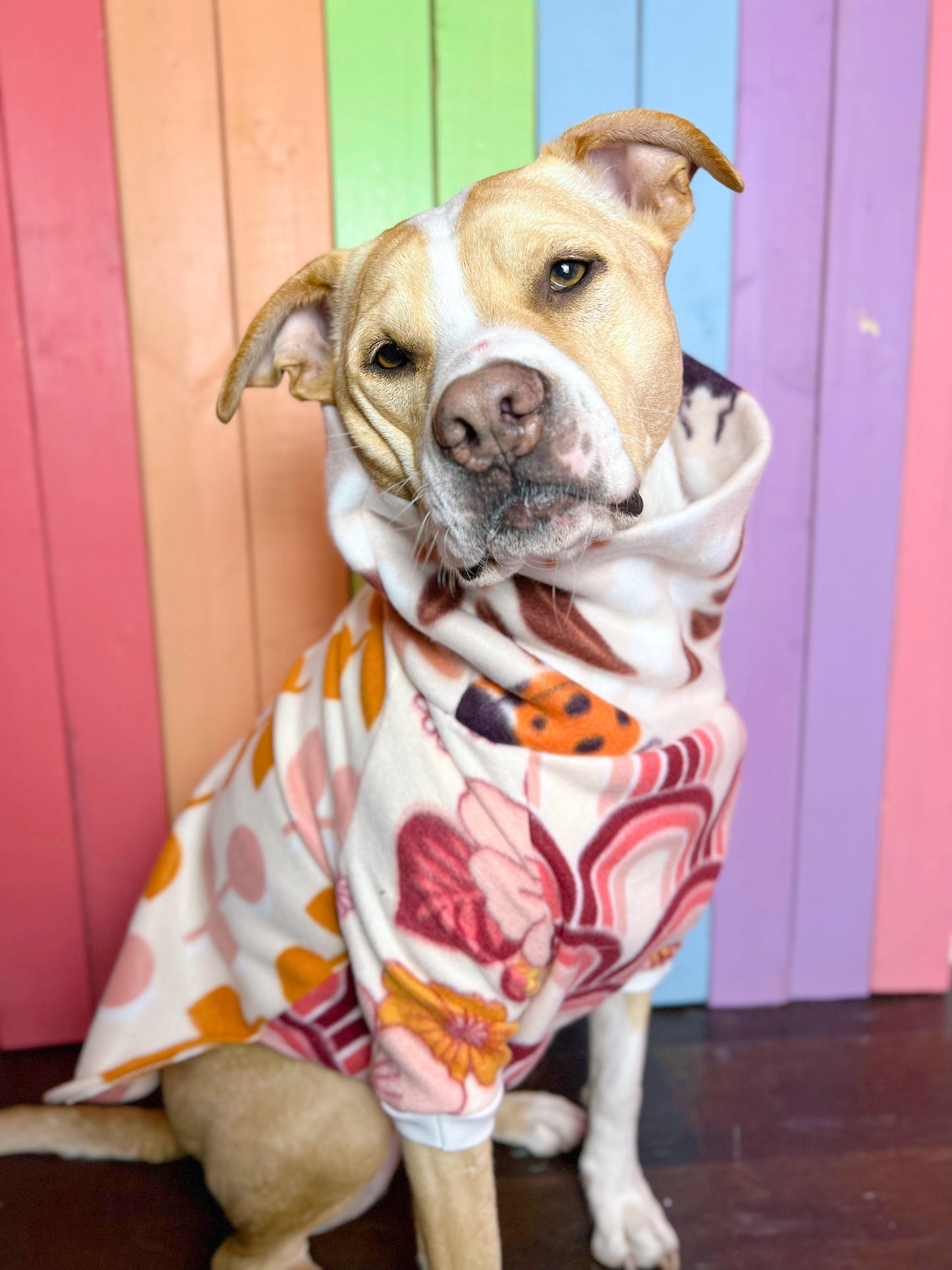 Summer of love mix and match print Long sleeve fleece dog sweatshirt