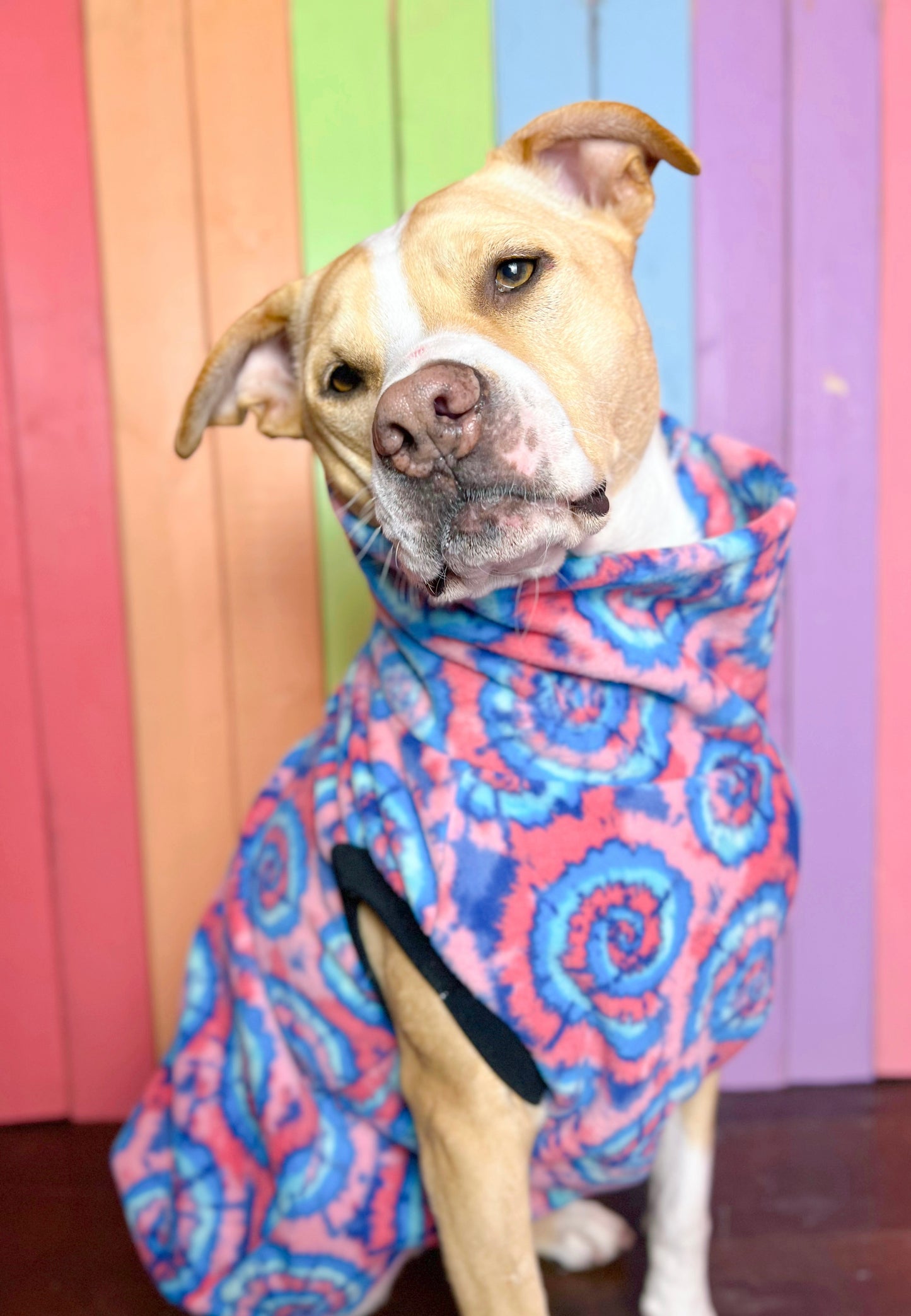 Cotton candy tie dye print fleece sleeveless dog sweatshirt
