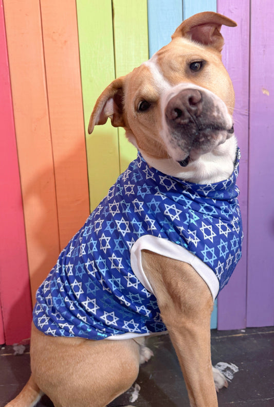 Happy Hanukkah mix and match stretch knit tank top