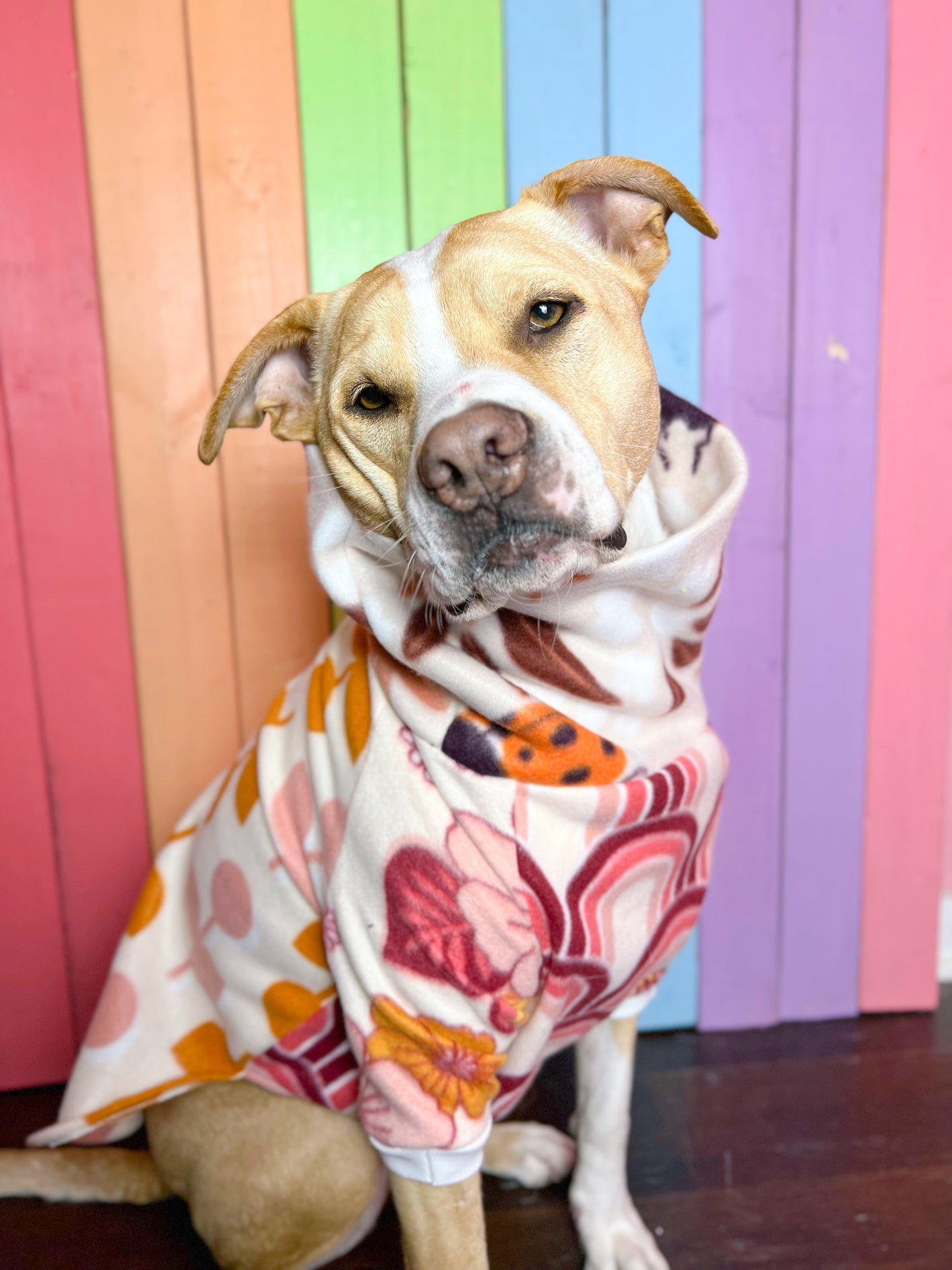 Summer of love mix and match print Long sleeve fleece dog sweatshirt