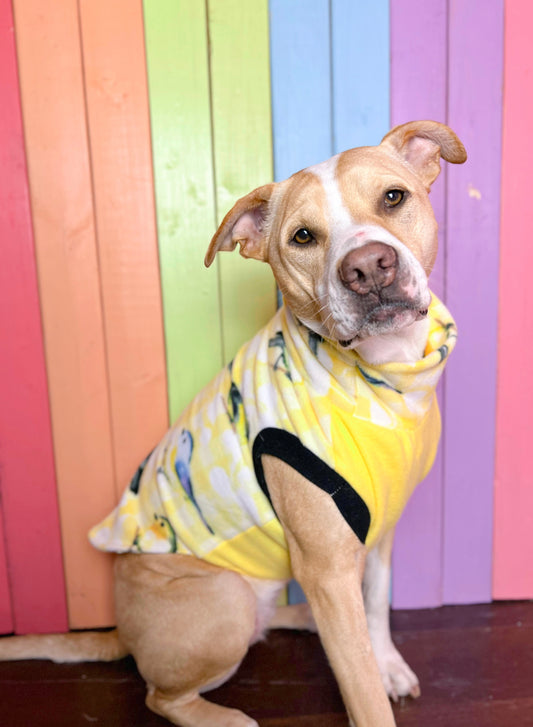 Yellow bird plaid print fleece sleeveless dog sweatshirt