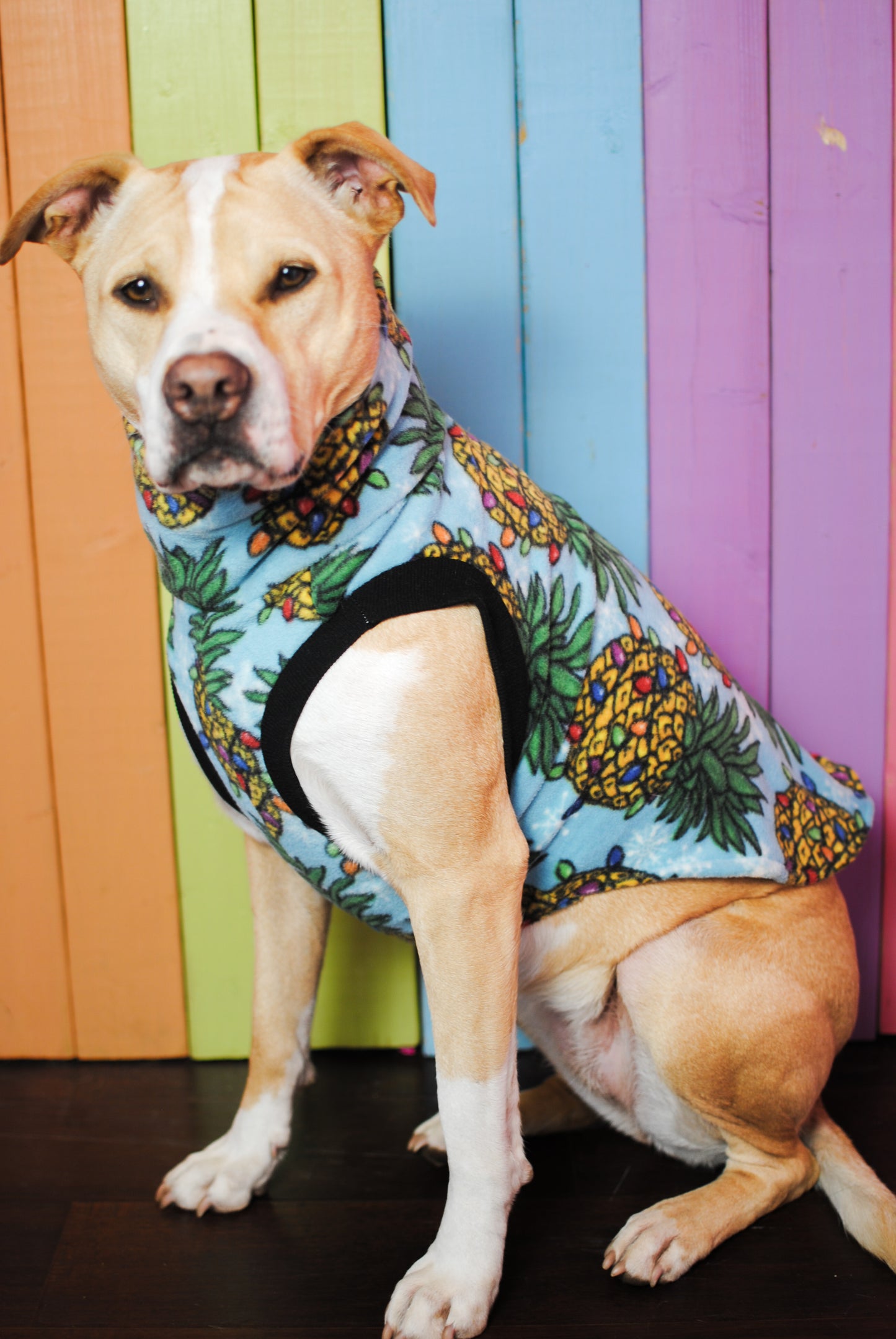 Christmas Pineapple fleece sleeveless dog sweatshirt