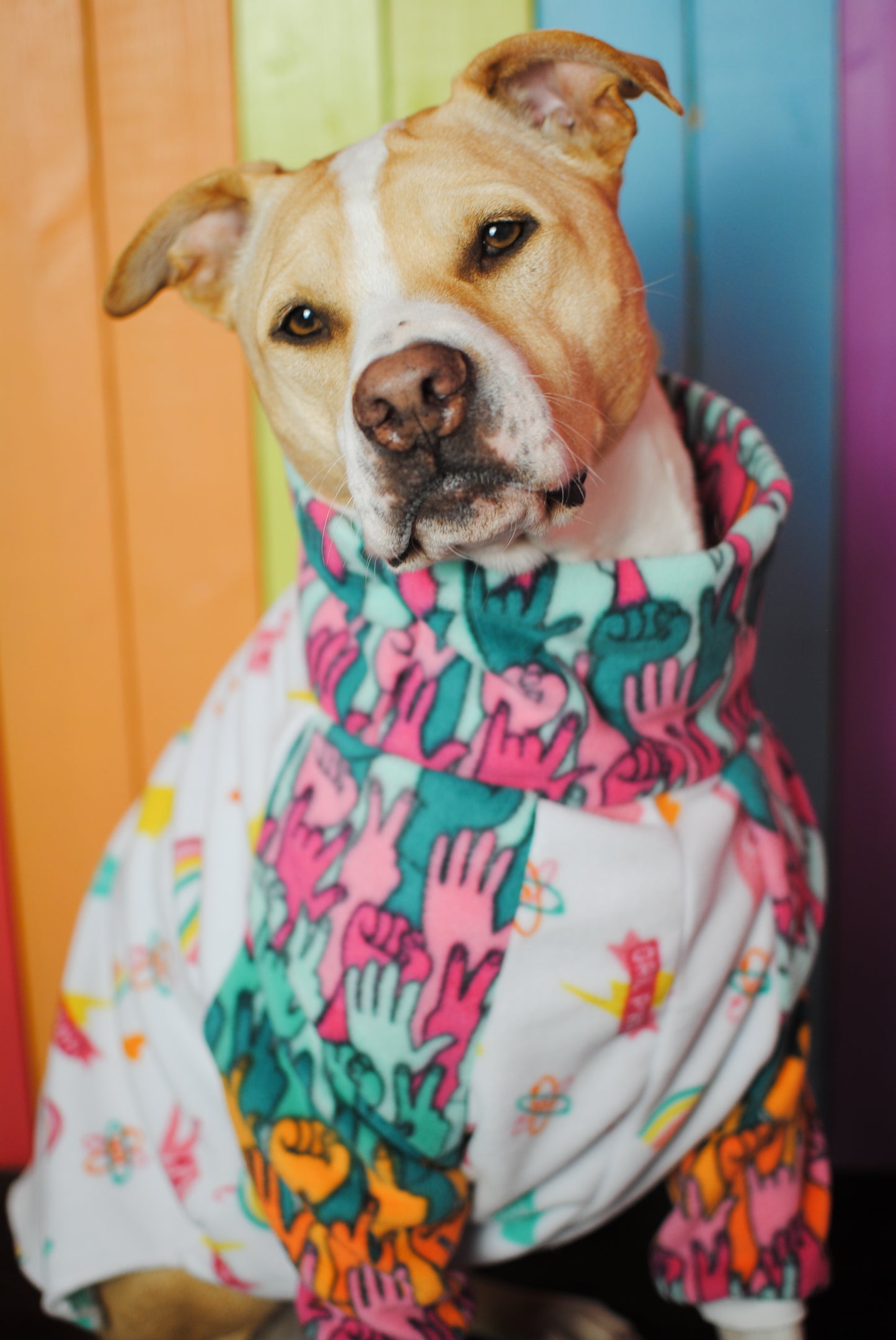 Girl power mix and match fleece dog sweatshirt