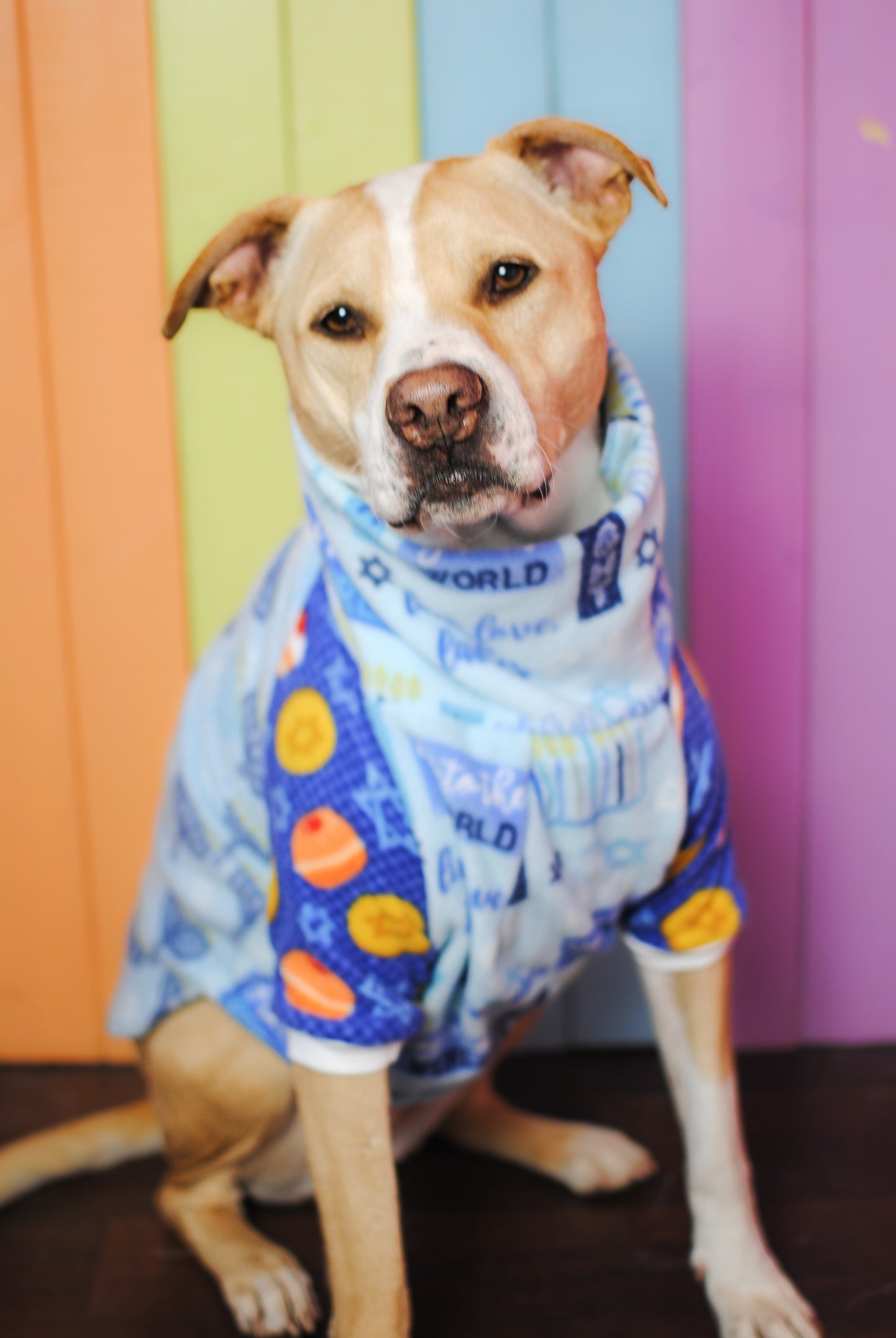 Happy Hanukkah mix and match long sleeve fleece dog sweatshirt