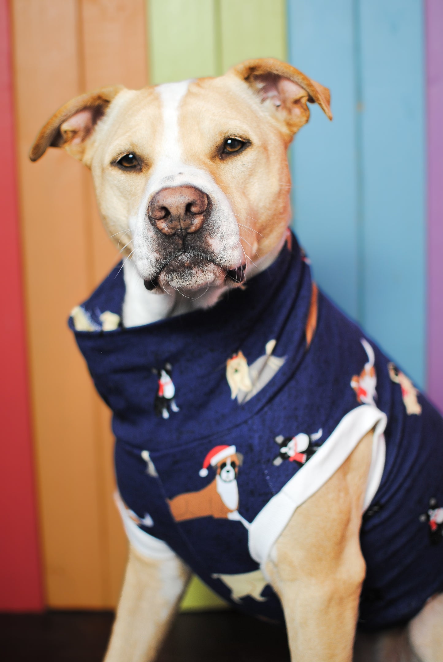Christmas puppies cotton knit sleeveless dog tank