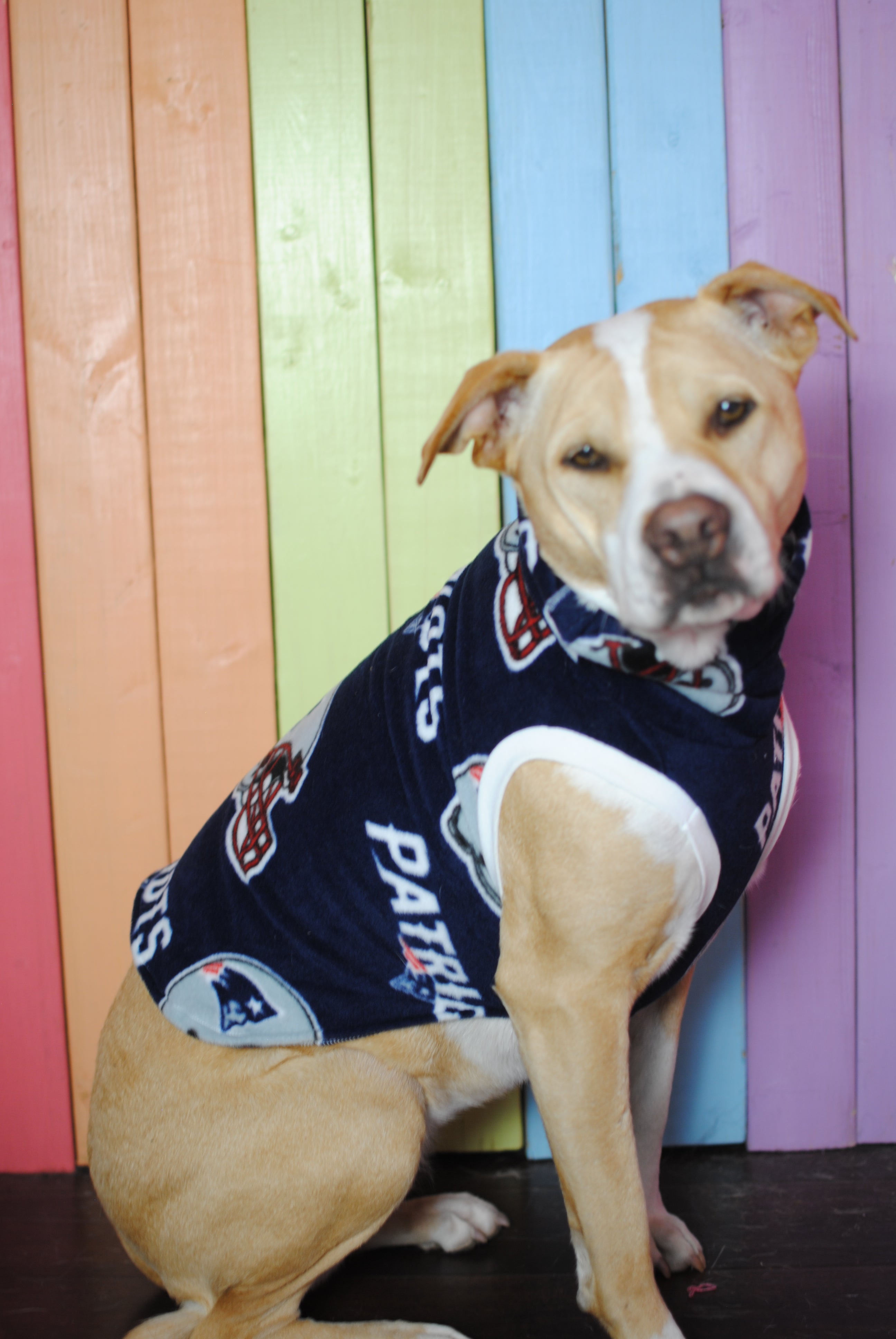 Patriots deals dog sweatshirt