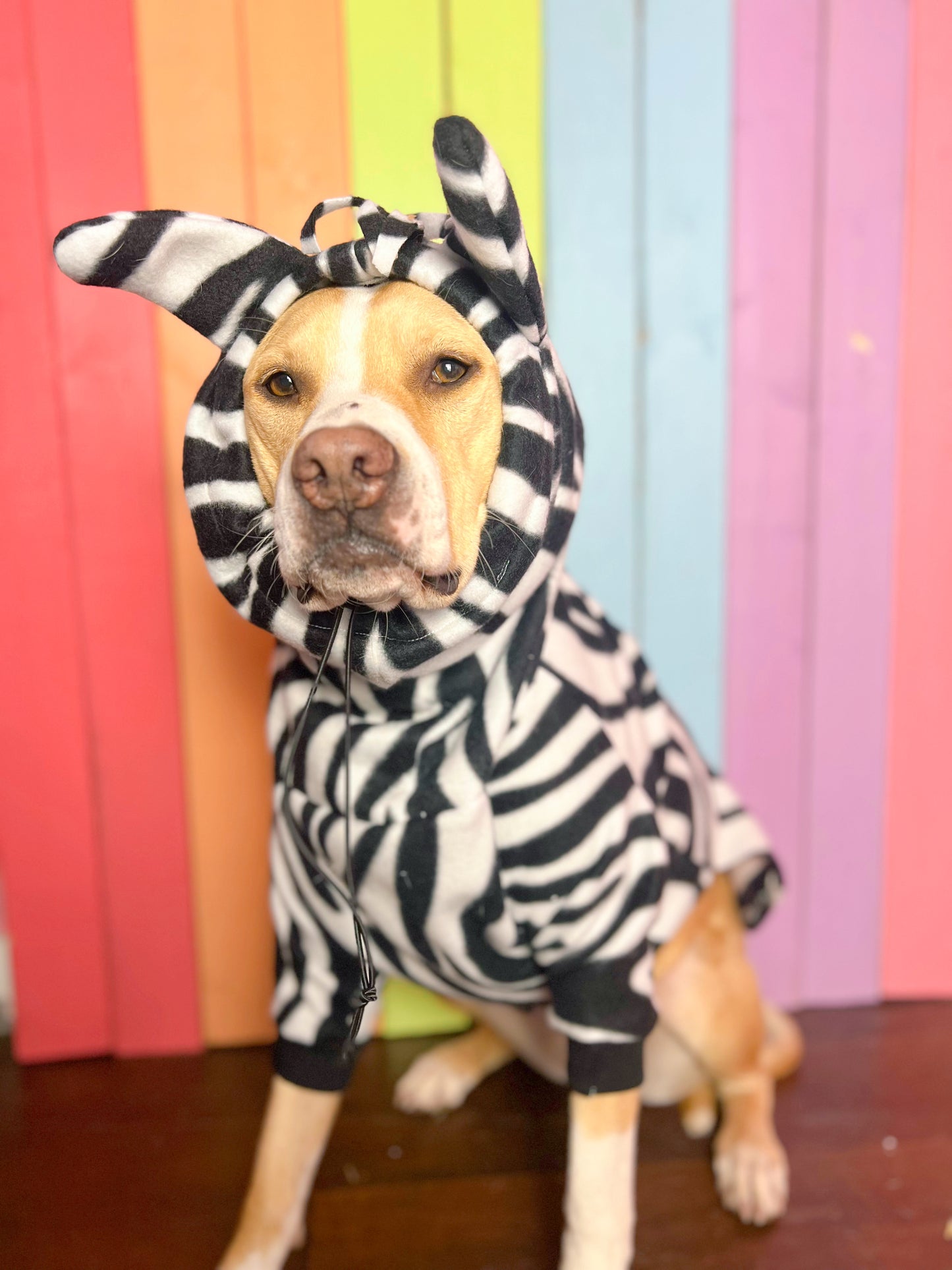 Zebra print zoo hoodie size medium fleece dog sweatshirt