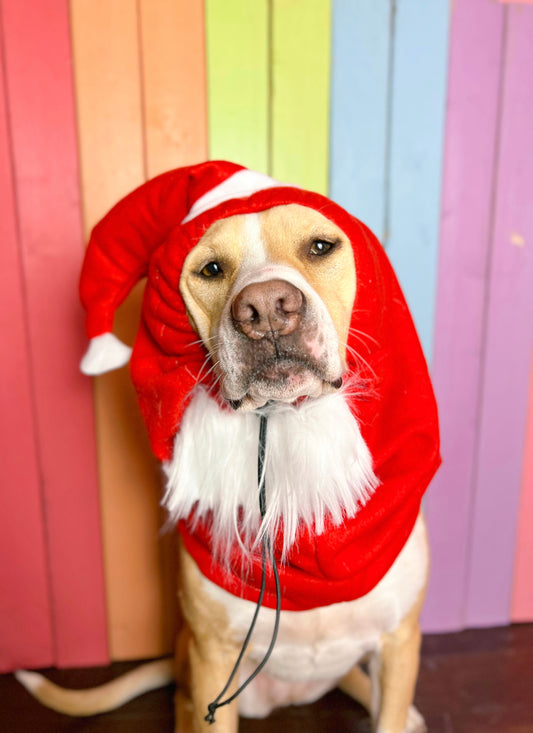Santa claus adjustable dog zoo snood