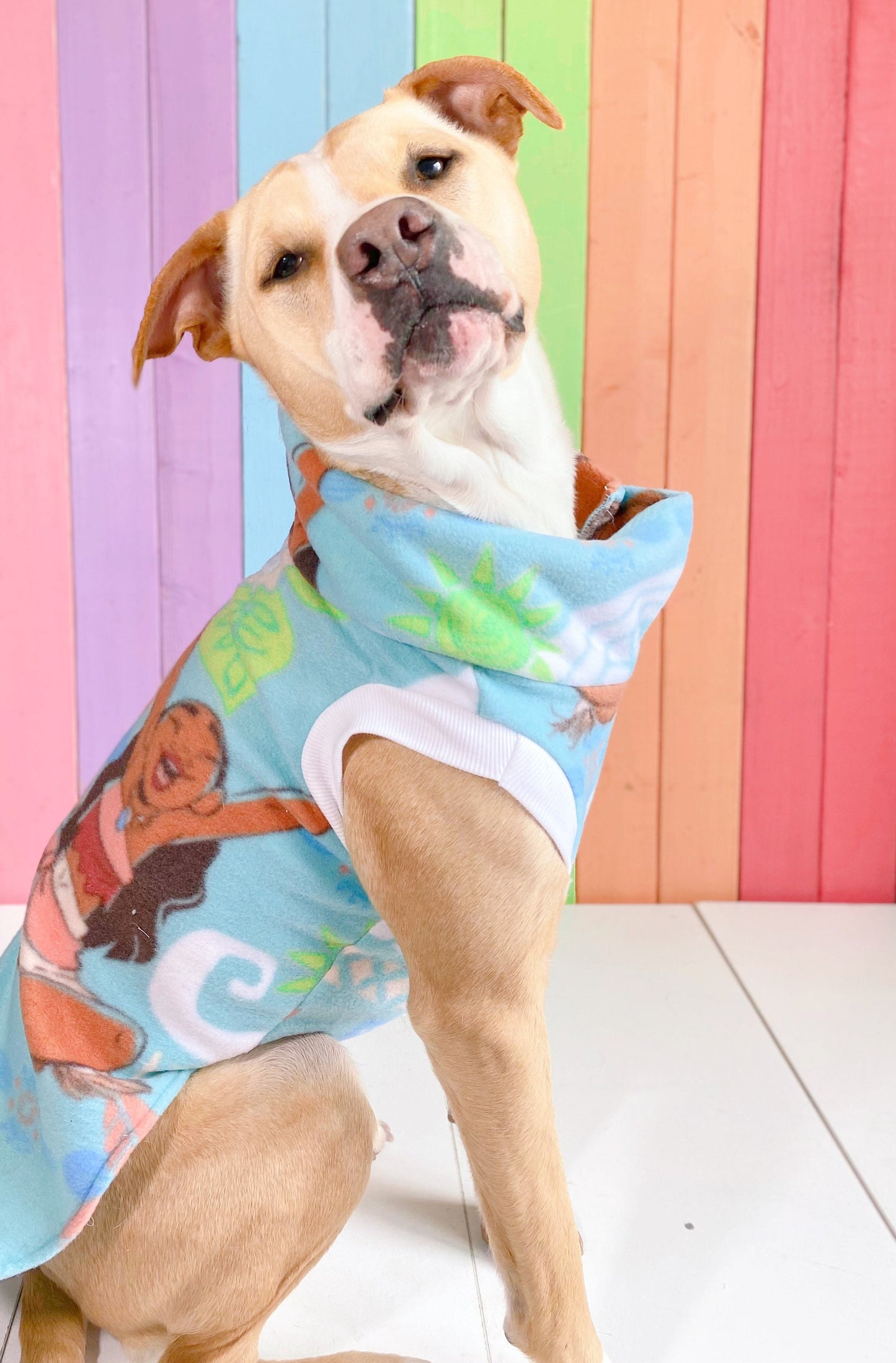 Disney’s moana size medium fleece dog sweatshirt