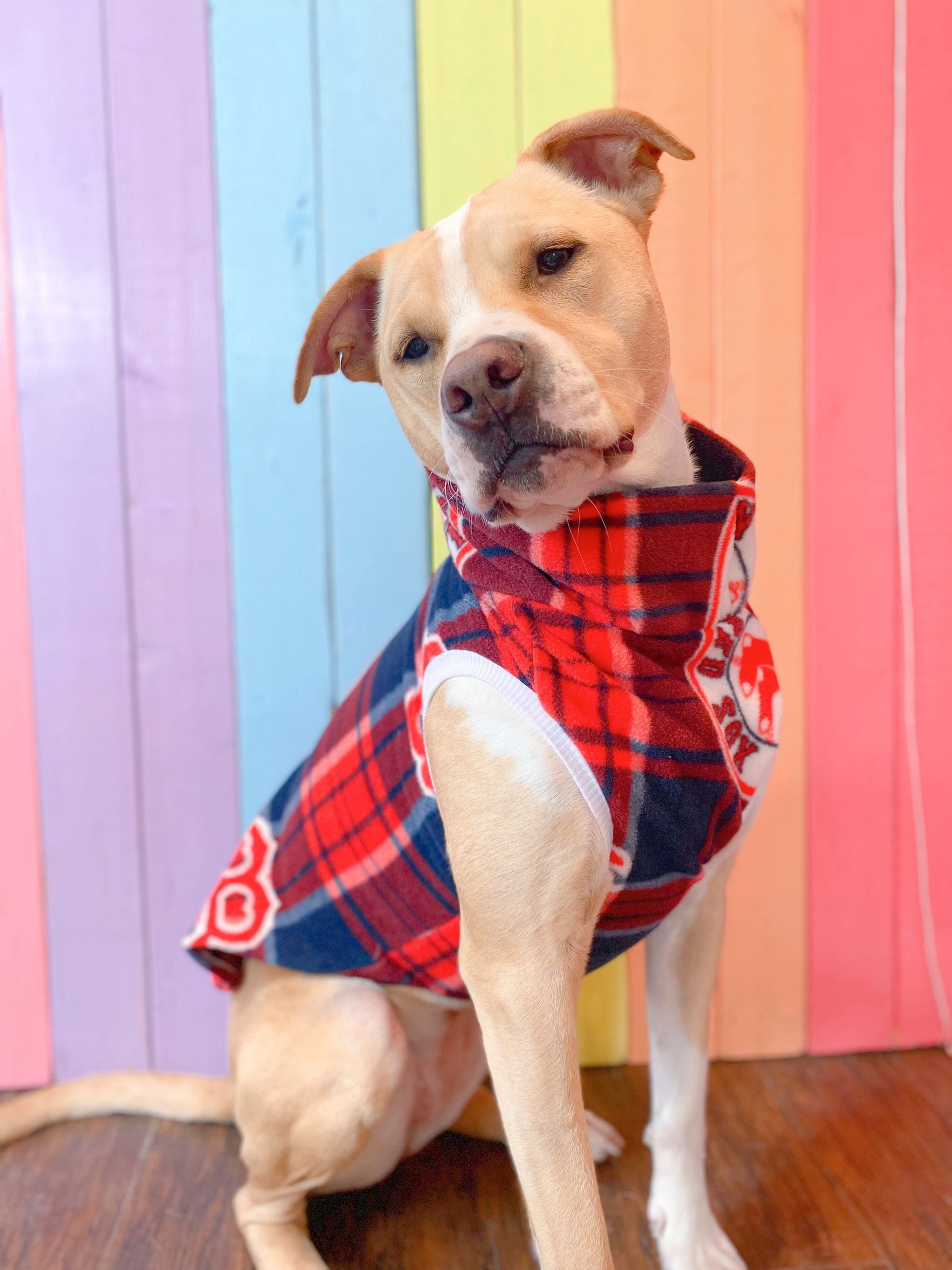 Boston Red Sox size medium sleeveless dog sweatshirt – Paws