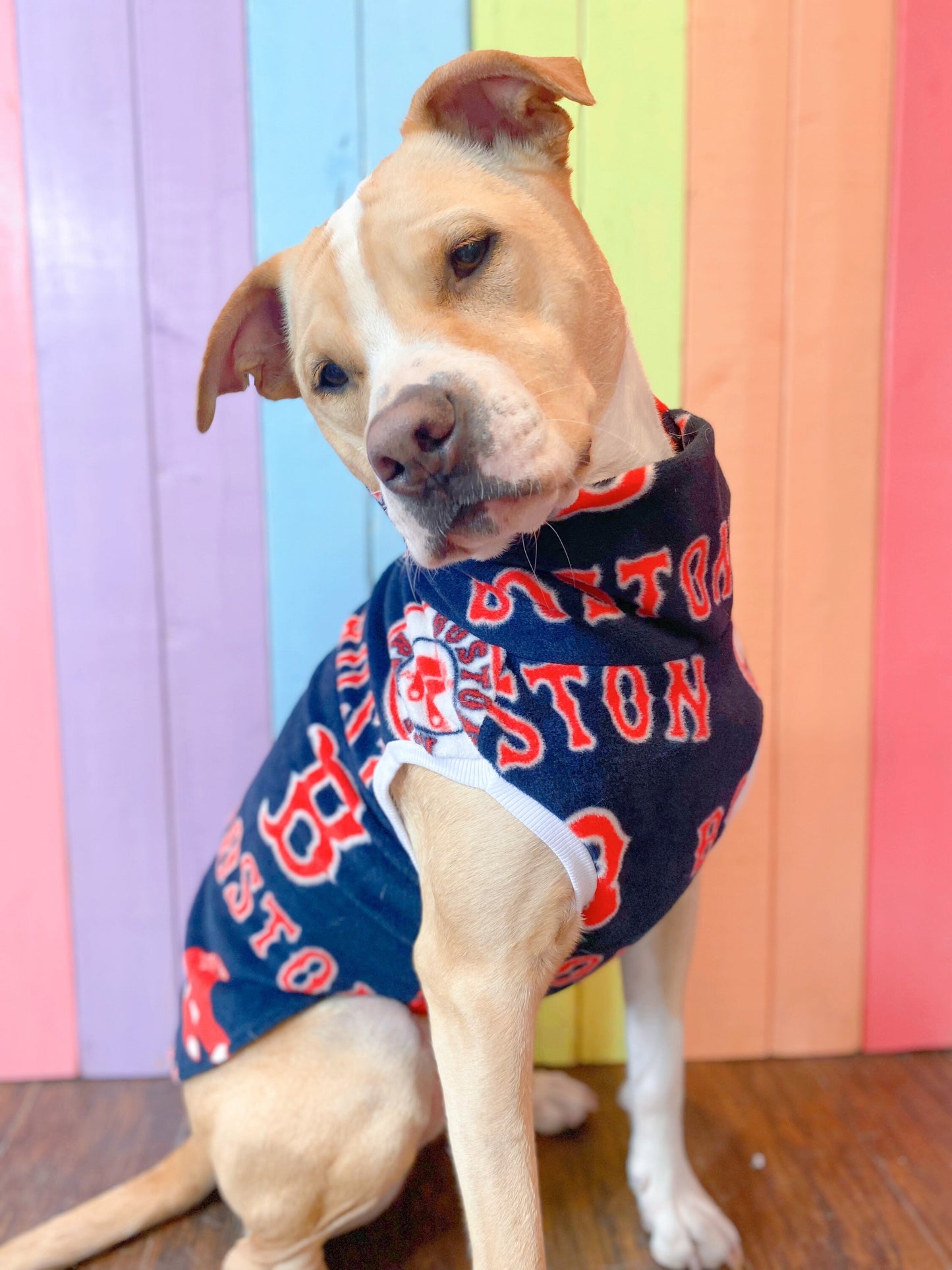 Boston Red Sox sleeveless dog sweatshirt