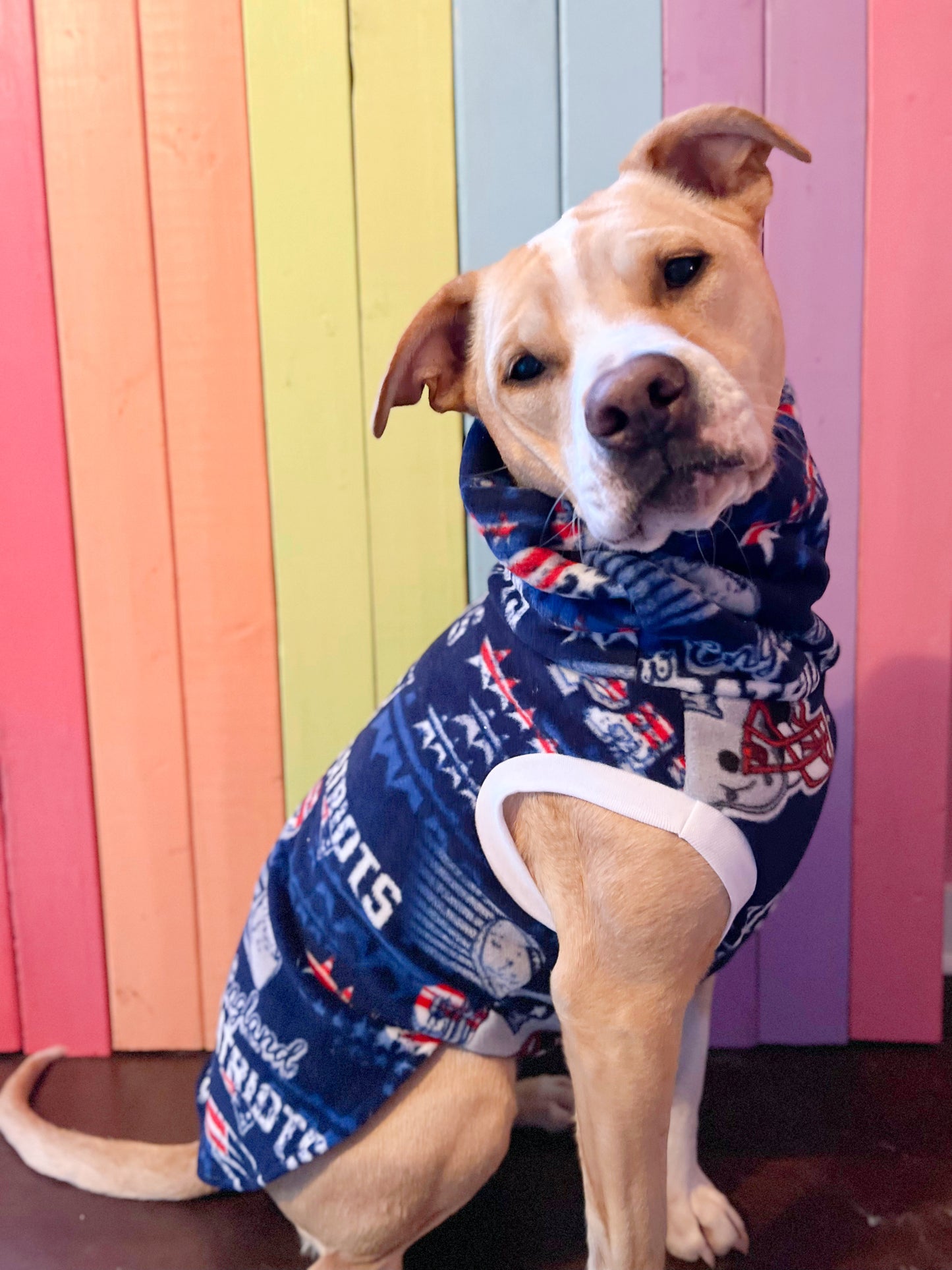 New England patriots size medium sleeveless dog sweatshirt