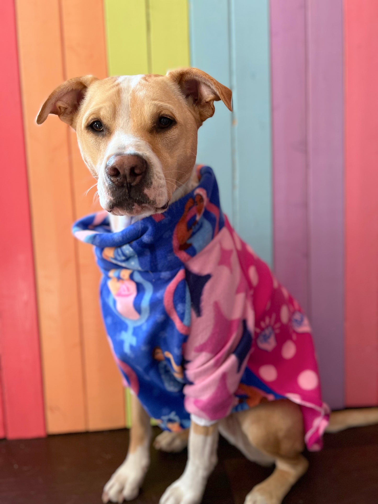 Girl power mix and match fleece dog sweatshirt