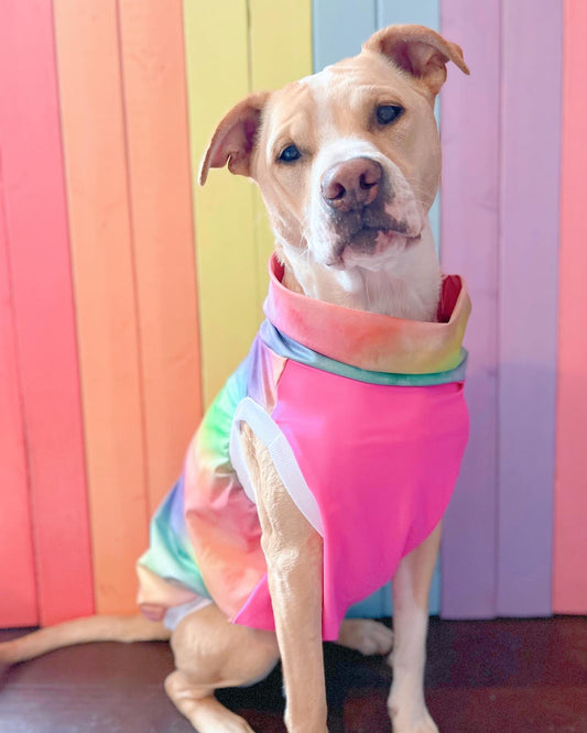 SPF 50 rainbow size large tank top