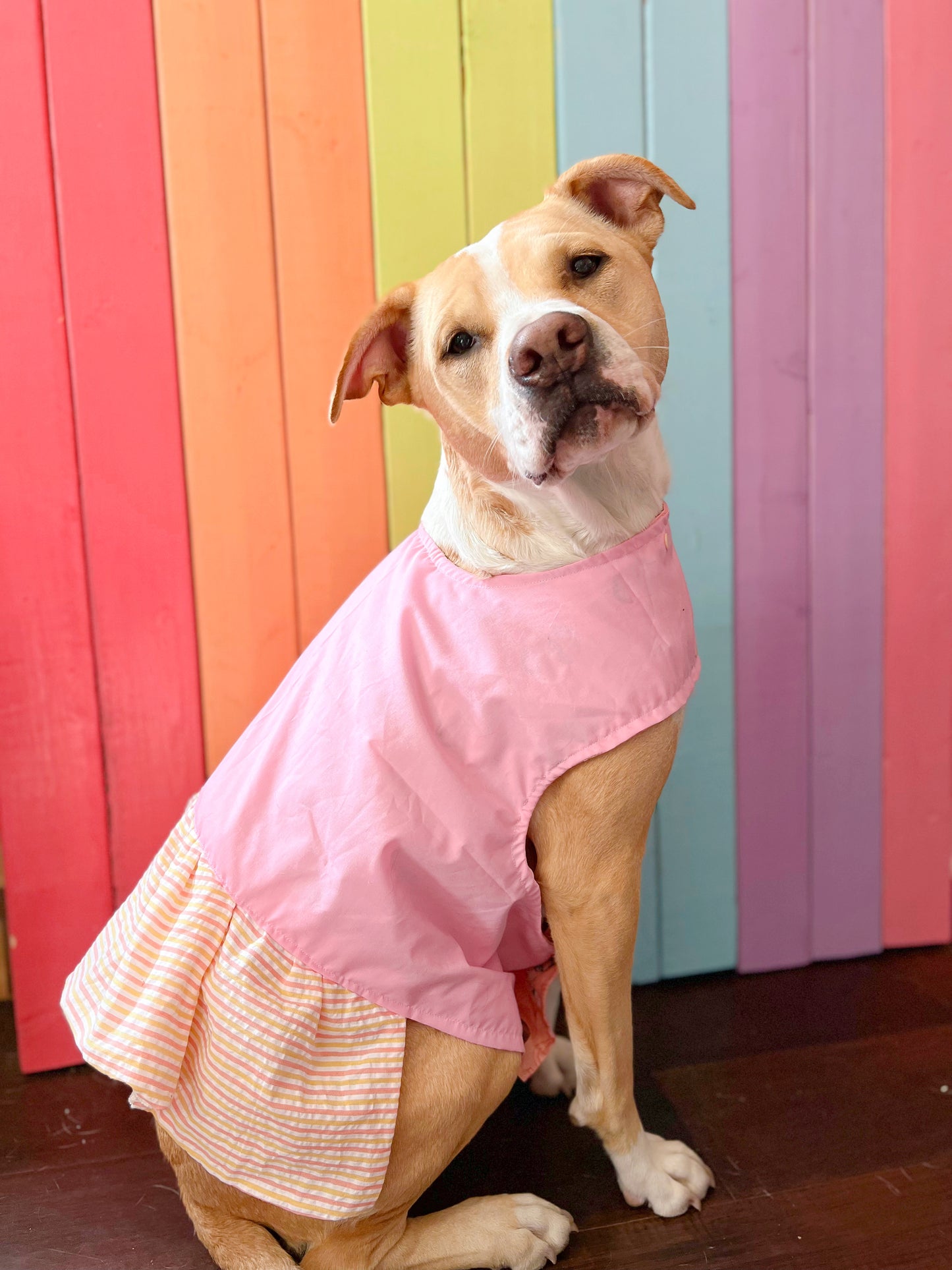 Girl power print cotton dog dress