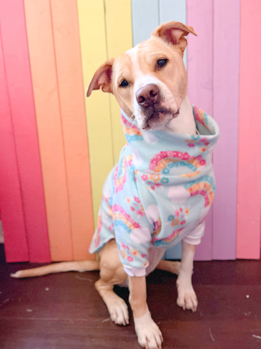 Blue floral rainbow print size medium fleece dog sweatshirt